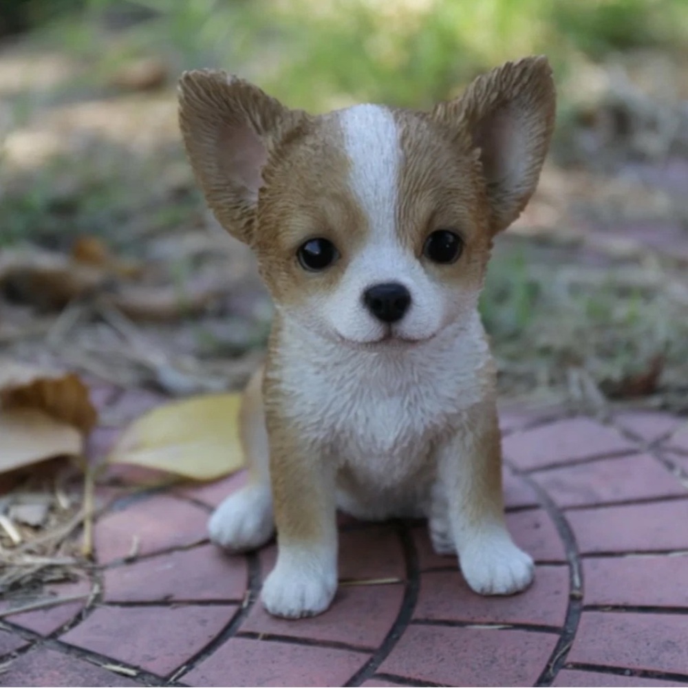 Chihuahua Puppy Brown and White Garden Patio Balcony Indoor Outdoor Statue